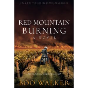 Red Mountain Burning By Boo Walker