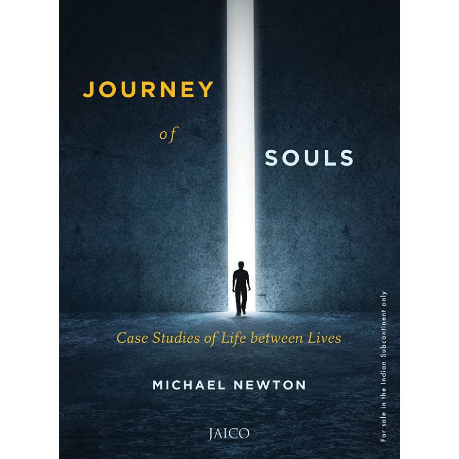 the journey of the soul michael newton