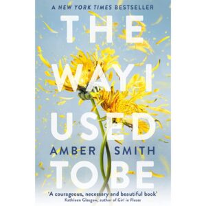 The Way I Used To Be By Amber Smith