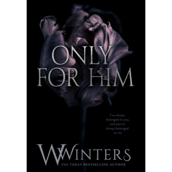 Only For Him By Willow Winters